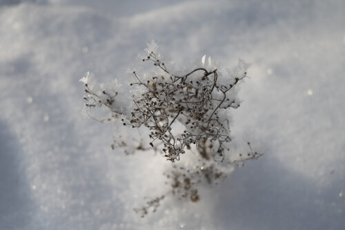 la forme enneige di Bogdan Lambert, Fotografia in vendita su Singulart