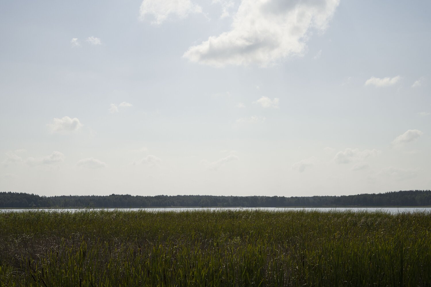 river.horizon Bogdan Lambert