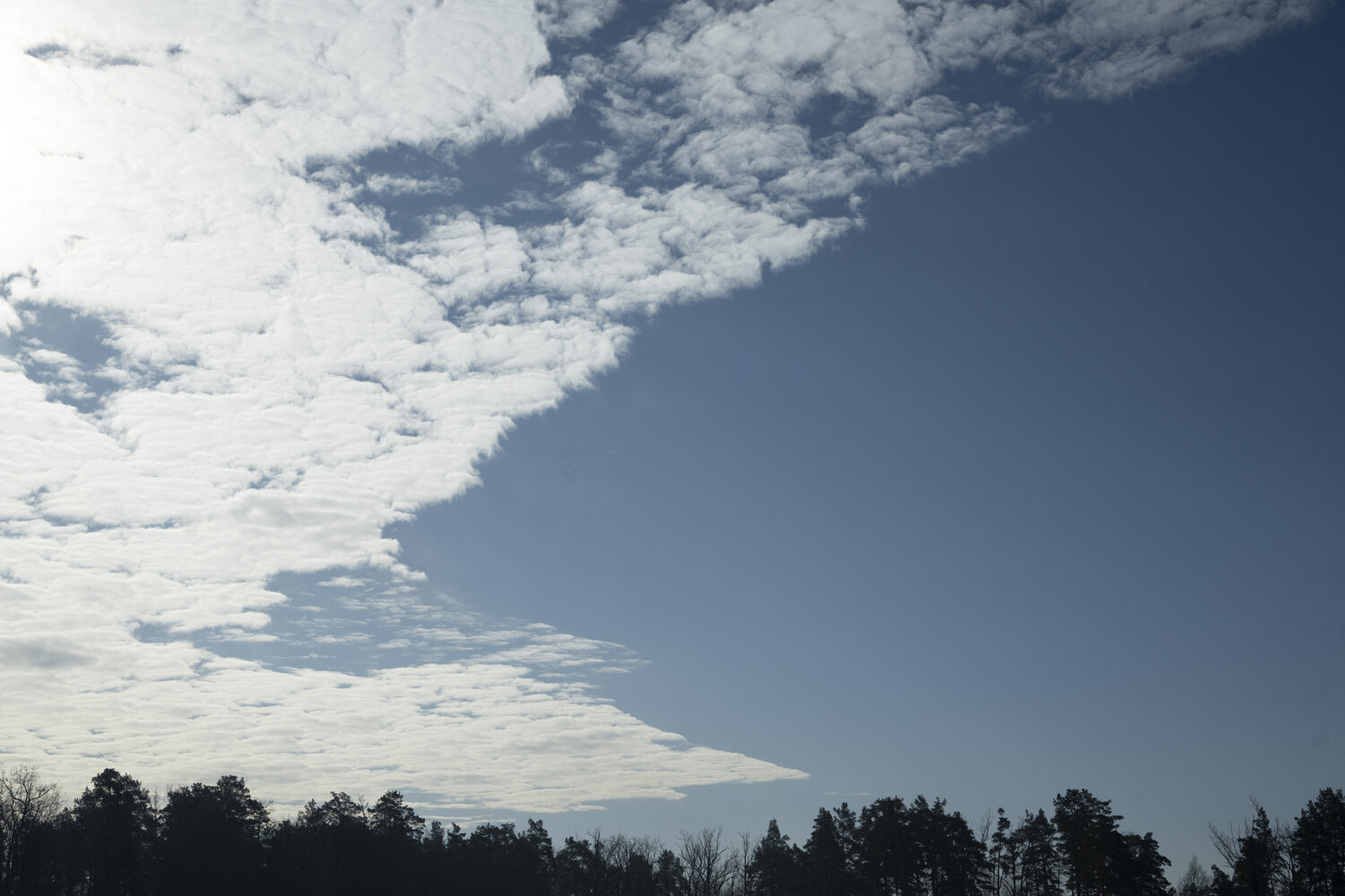 cloud above trees Bogdan Lambert 写真 販売中