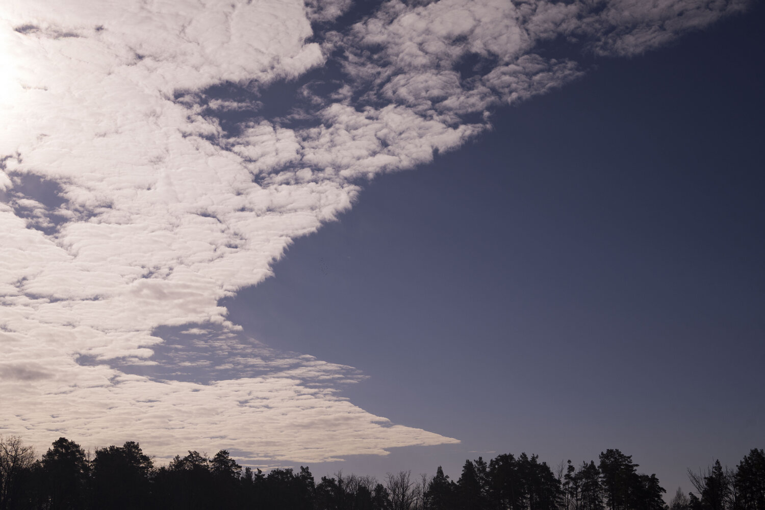 cloud above trees Bogdan Lambert