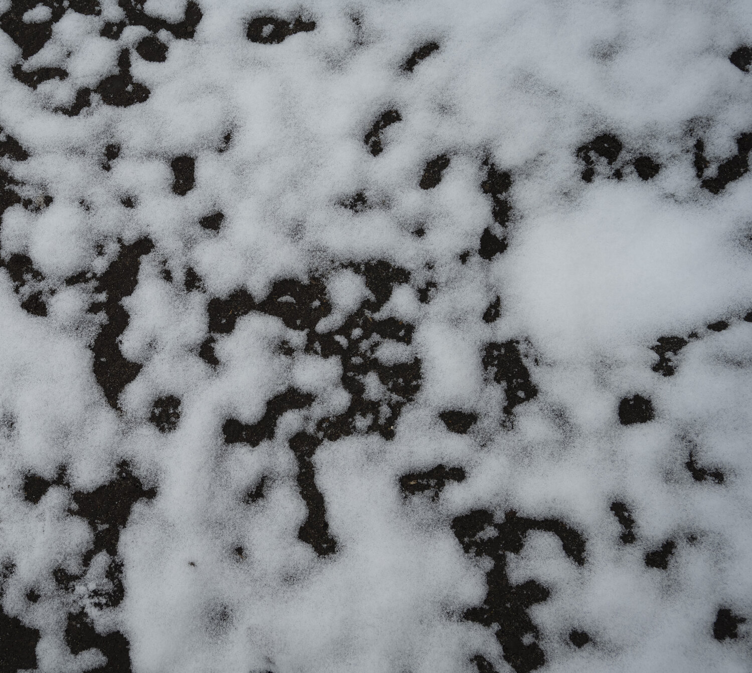 snow 2 Bogdan Lambert