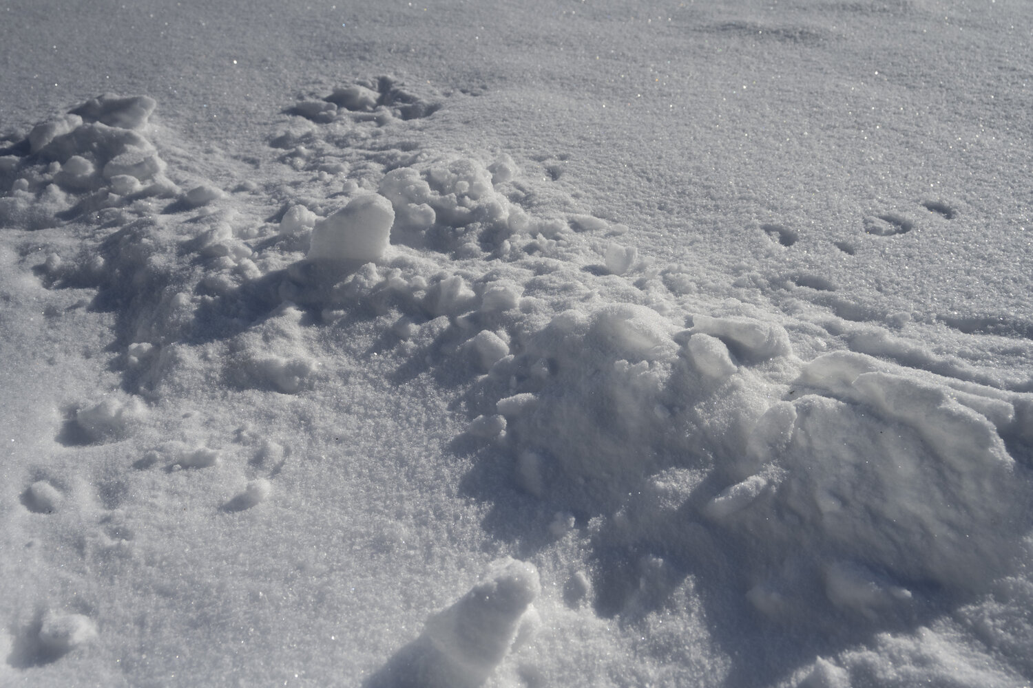 les elements de relief Bogdan Lambert