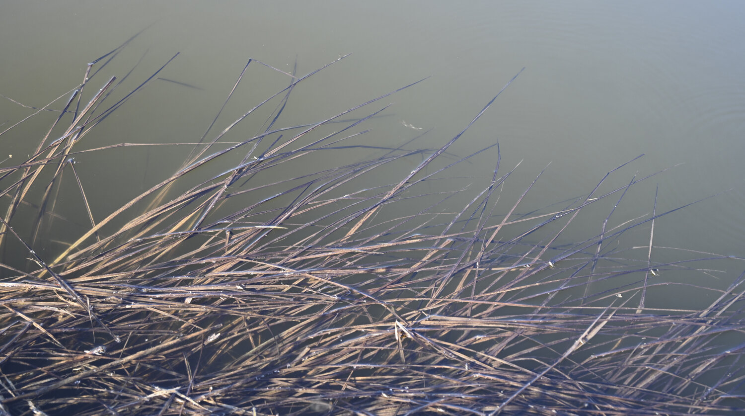 sur l'eau Bogdan Lambert