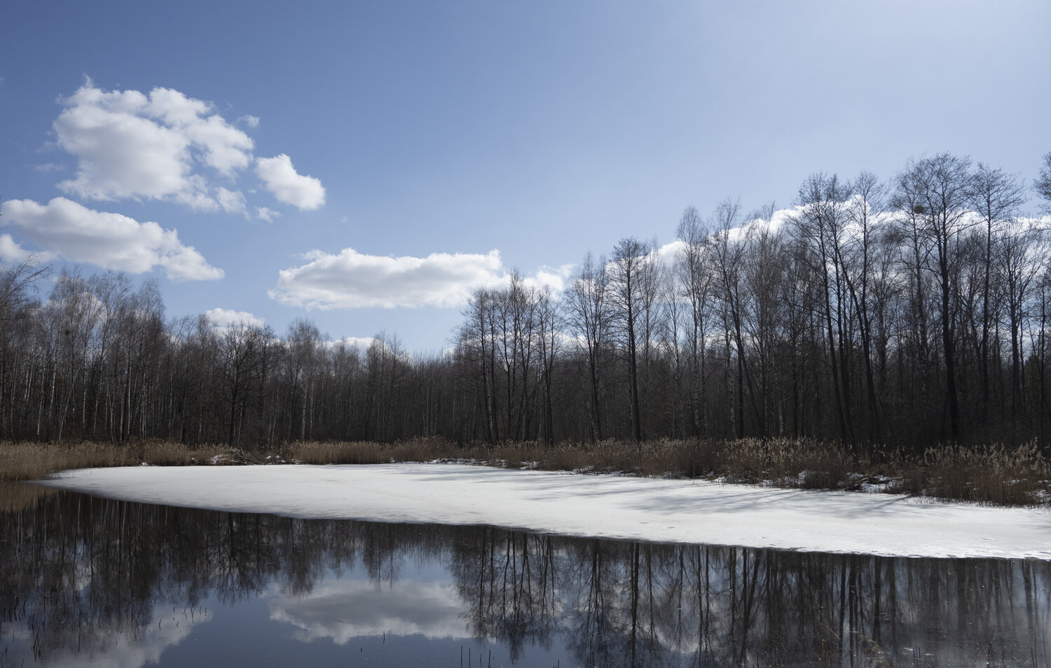 le petite lac  dans la foret Bogdan Lambert Photography for sale