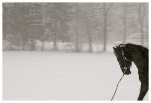 Dream,  Passage through the Anima_le, I. di Lea Jazbec, Fotografia in vendita su Singulart