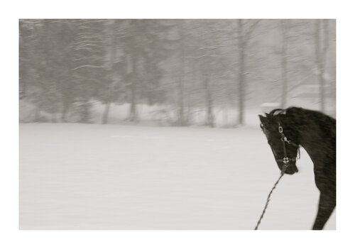 Dream,  Passage through the Anima_le, I. di Lea Jazbec, Fotografia in vendita su Singulart