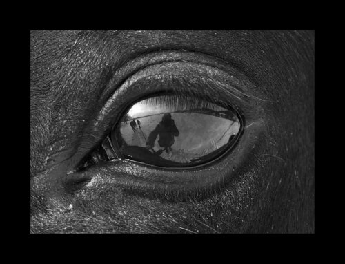 Dream,  Passage through the Anima_le, III. di Lea Jazbec, Fotografia in vendita su Singulart