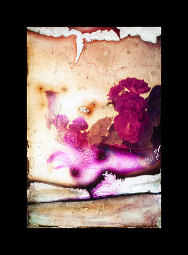 Blooming Anyway di Lea Jazbec, Fotografia in vendita su Singulart