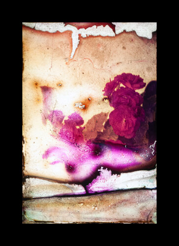 Blooming Anyway van Lea Jazbec, Fotografie te koop op Singulart