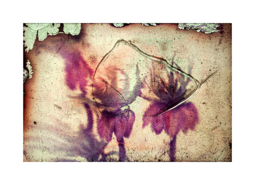 Ballet Lea Jazbec