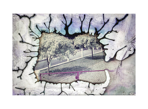 Magenta Threshold 2026 by Lea Jazbec, Photography for Sale on Singulart