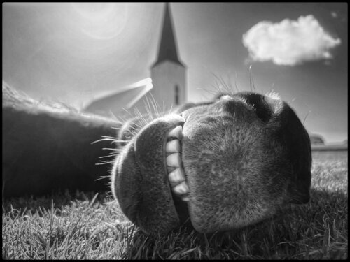 With church and cloud di John Crawford, Fotografia in vendita su Singulart