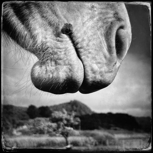 Heavenly sent di John Crawford, Fotografia in vendita su Singulart