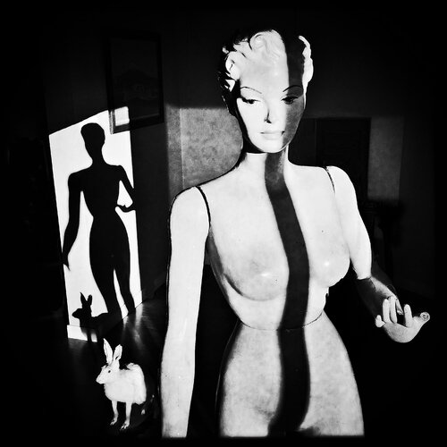 Lily and the rabbit di John Crawford, Fotografia in vendita su Singulart