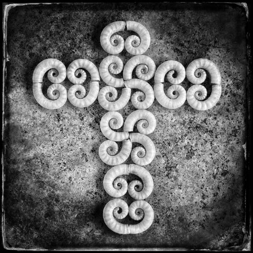 Shell cross von John Crawford, Fotografie kaufen auf Singulart
