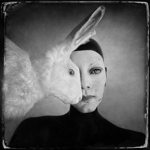 Susie and the rabbit di John Crawford, Fotografia in vendita su Singulart