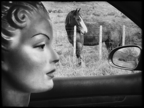 Lily and the horse di John Crawford, Fotografia in vendita su Singulart
