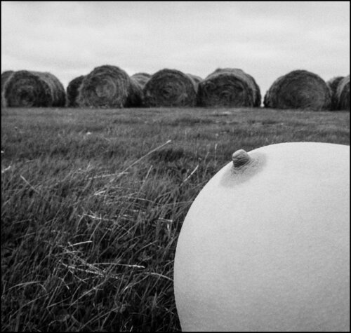 Breast and hay bales von John Crawford, Fotografie kaufen auf Singulart