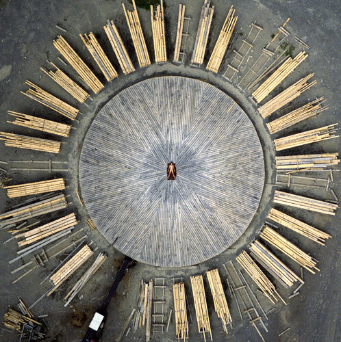 Timber yard nude by John Crawford, Photography for Sale on Singulart