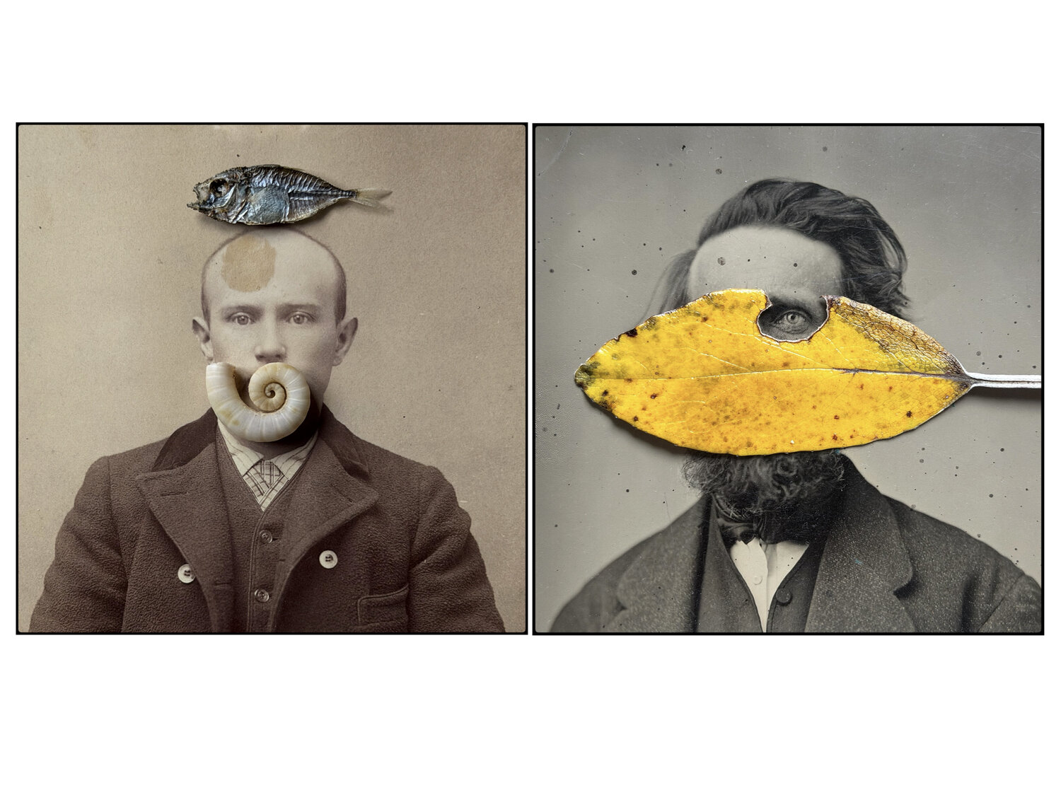 Assemblage / diptych #1 John Crawford