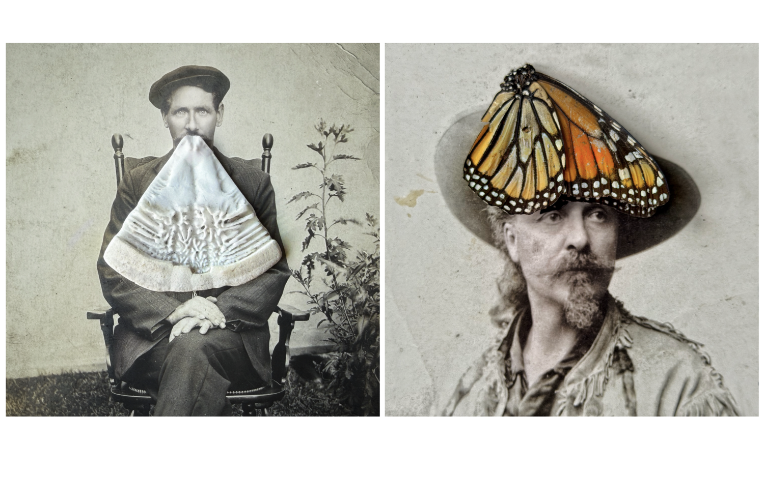 Assemblage / Diptych#2 John Crawford Fotografie zu verkaufen
