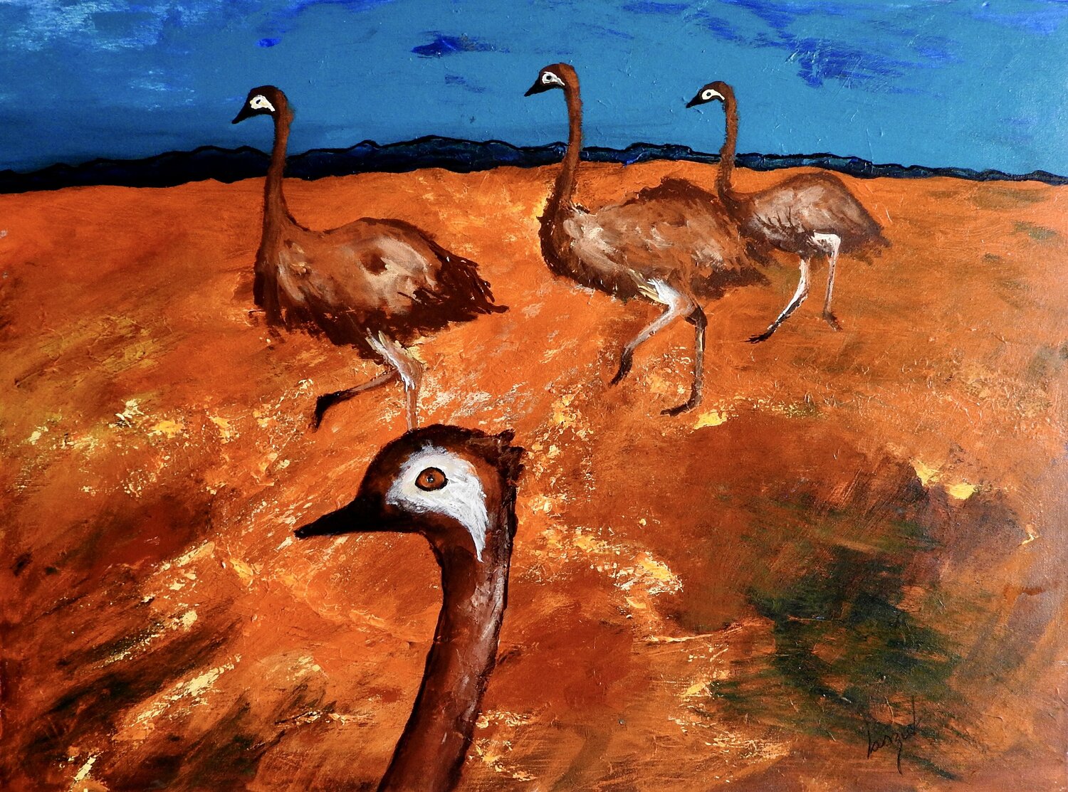 Emu walking Barbara Laszuk