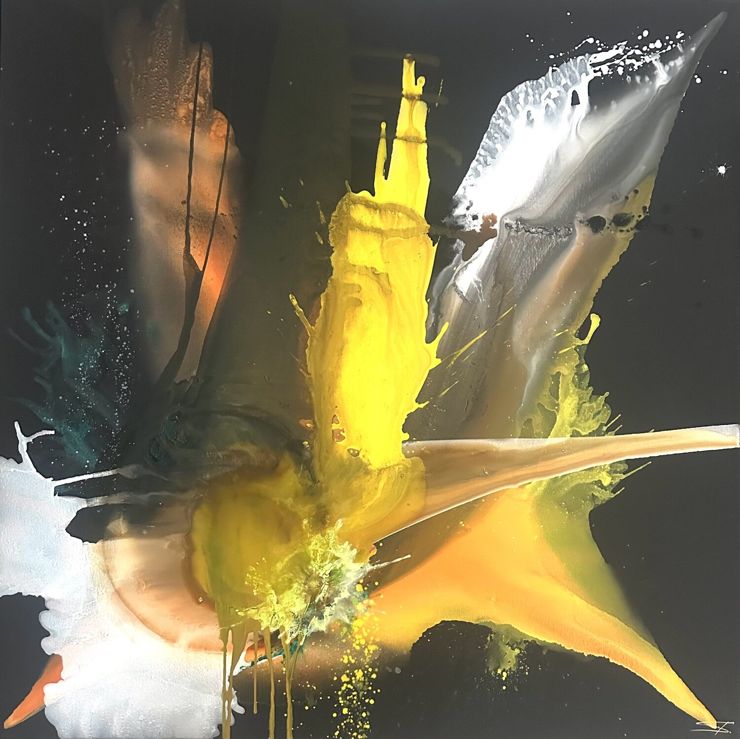 Yellow flower milan sopko