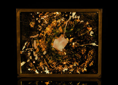 LichenIt  - NatureView Contemporary wood and resin light sculpture di Scott Williams, Altri media in vendita su Singulart
