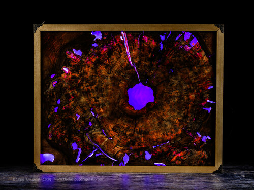 Lucidity - NatureView Contemporary Wood and Resin Light Sculpture di Scott Williams, Altri media in vendita su Singulart