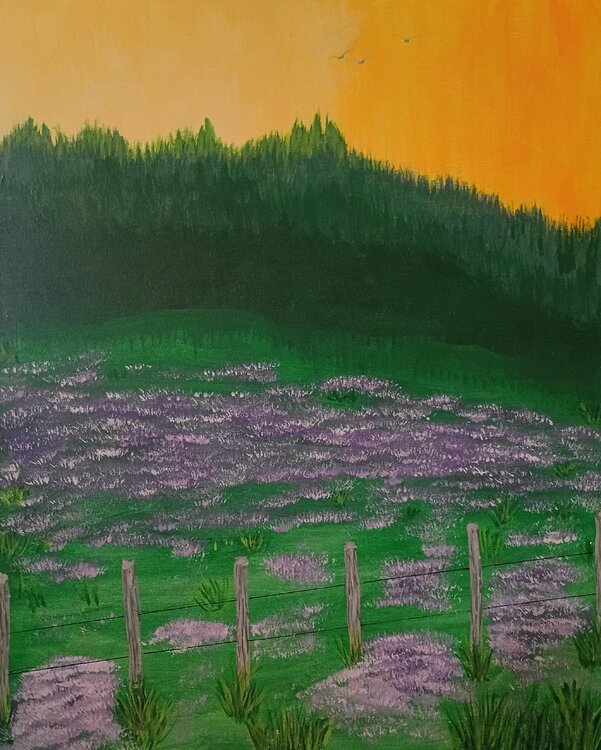 Sunset Over Lavender Fields MissyKay