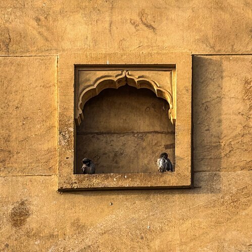 The window by isha ralhan, 사진 for Sale on Singulart