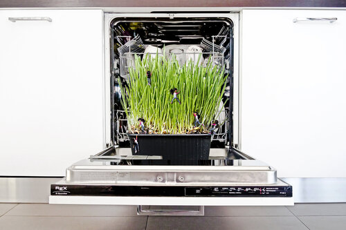 DAY BY DAY van ROBERTO CAMI, Digitaal te koop op Singulart