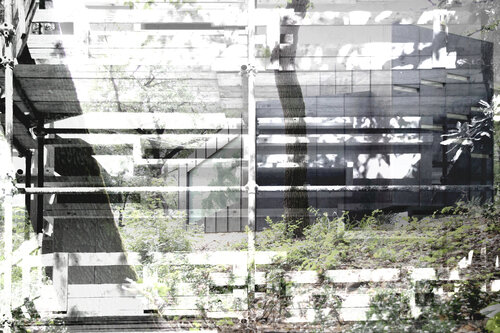 FRONT SCENE van ROBERTO CAMI, Fotografie te koop op Singulart