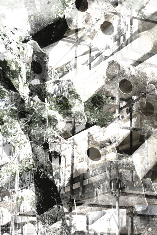MATTERS 01 ROBERTO CAMI