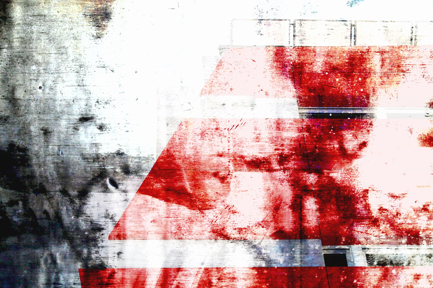 EVOLUTION EVIDENCES 04 ROBERTO CAMI