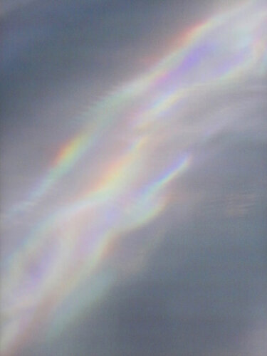 Within Echo by Ruoyun Dai, Print for Sale on Singulart