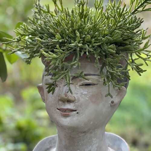 Gedankengarten von Ralph Hauck, Fotografie kaufen auf Singulart