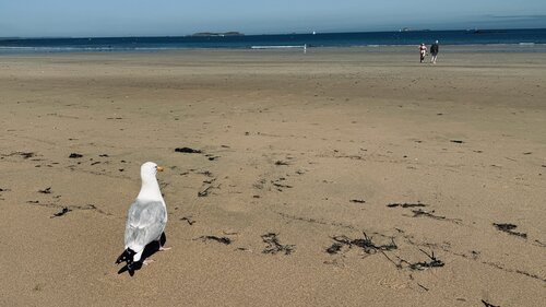 Flaneur am Meer von Ralph Hauck, Fotografie kaufen auf Singulart