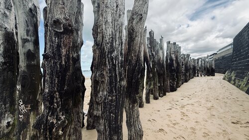 Holzwehr von Ralph Hauck, Fotografie kaufen auf Singulart