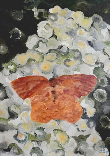 Farfalla Waldmoorspanner di Joachim Lippl, Pittura in vendita su Singulart