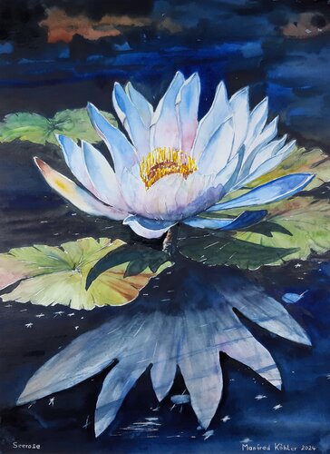Seerose in blau - Water Lily in blue by Manfred Köhler, Painting for Sale on Singulart