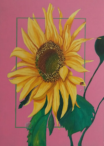 GIRASOL SOBRE ROSA di Geles Conesa Artés, Pittura in vendita su Singulart