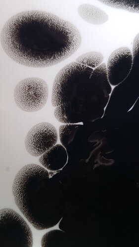 No 87 van Thomas Baumdicker, Schilderij te koop op Singulart