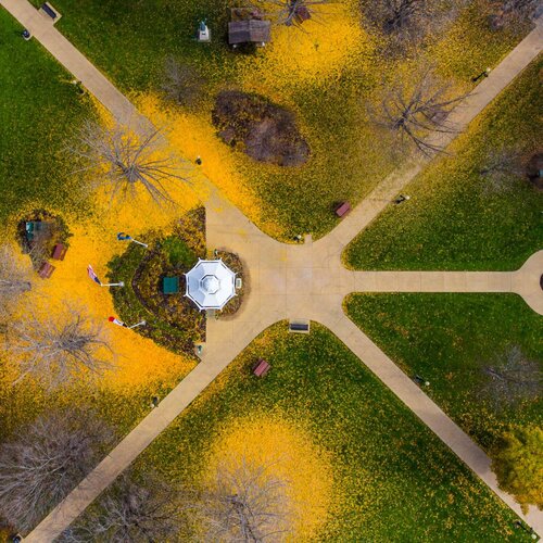 Fall Colors Abstract Above Washington Park Gazebo Bob Felderman