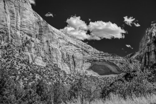 Zion without Colors di Bob Felderman, Fotografia in vendita su Singulart