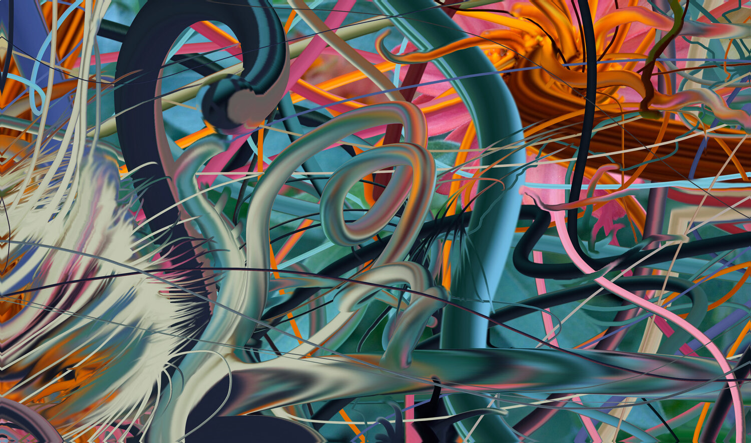 Intractable Sandy Sanders Digital for sale