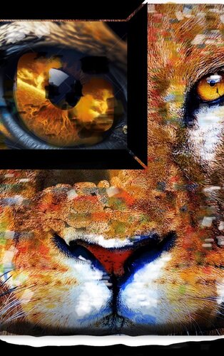 L'oeil du tigre von Gilles Boyaval dit Lemalko, Digital kaufen auf Singulart