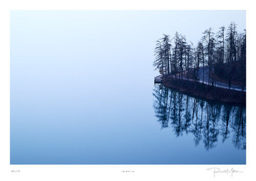 Lake Bled van Ronald Mitterer, Fotografie te koop op Singulart