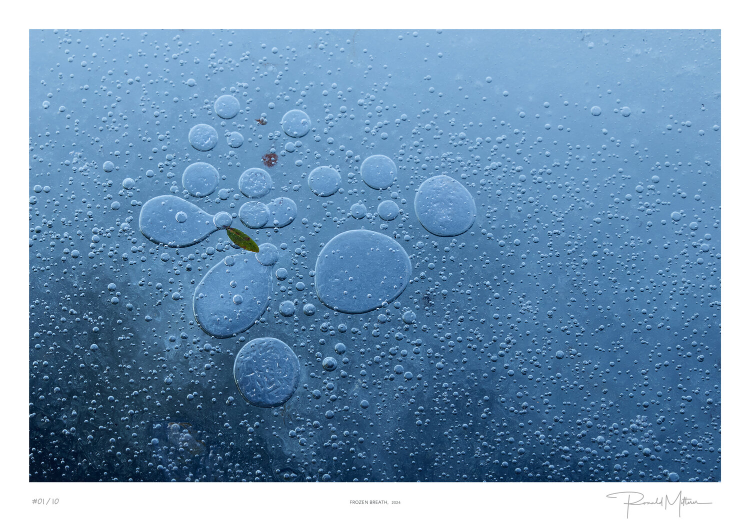 Frozen Breath Ronald Mitterer
