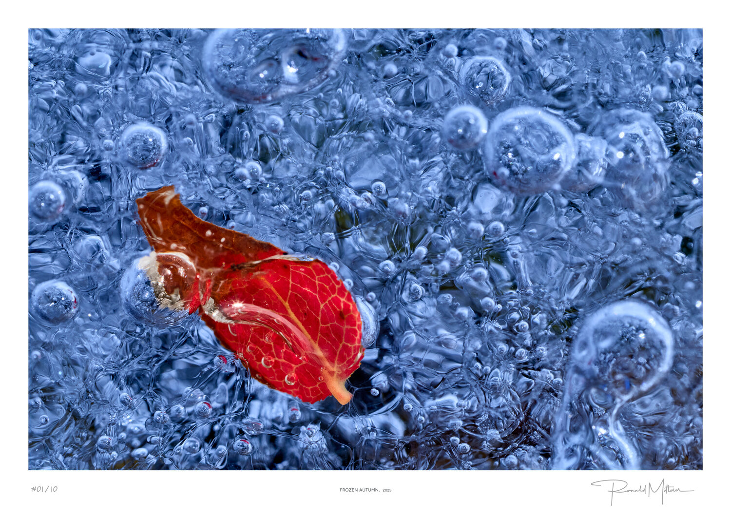 Frozen Autumn Ronald Mitterer